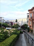 Image for San Fran from Lombard Street - San Fransisco, CA