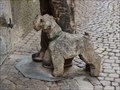 Image for Man with dog - Brixen, Trentino-Alto Adige, Italy