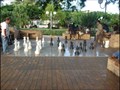 Image for Chess Board in Nouméa