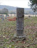 Image for W. D. Christian - Bethel Cemetery - Paint Rock. AL