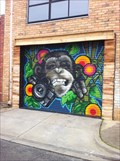 Image for Funky Ape Garage Door - Seddon, Victoria, Australia