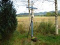 Image for Cross in Schächele Nature Reserve - Isny, B-W Germany