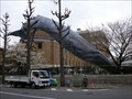 Image for Blue Whale - Tokyo, Japan