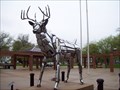 Image for White Tail Deer.  Springfield, Illinois.