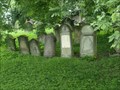 Image for židovský hrbitov / the Jewish cemetery, Rychnov nad Knežnou, Czech republic