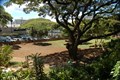 Image for McInerny Dog Park - Honolulu, HI
