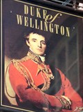 Image for Duke of Wellington - Pub Sign - Cardiff,  South Wales.
