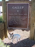 Image for Gallup