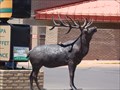 Image for Elk at Tusayan Village - Tusayan, Arizona