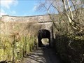 Image for Hollinwood Branch Canal Aqueduct Over Crime Lane, Waterhouses, UK
