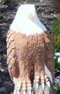 Image for American Bald Eagle - Darlington MD