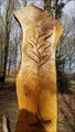 Image for Oak Leaves - Memorial Wood - Bradgate Park, Leicestershire