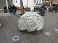 Image for Brain -  Hay Hill - Norwich, Norfolk