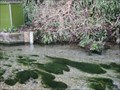 Image for Upwey Wishing Well Water Gardens - Dorset