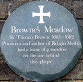 Image for Browne's Meadow - The Close, Norwich, UK