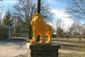 Image for Yellow Lions - Jonesburg, MO