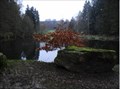 Image for A little pond near Grünenplan (Niedersachsen) Germany