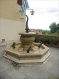 Image for Fontanina Battesimale della Contrada Capitana dell’Onda - Siena, Italia