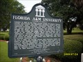 Image for FLORIDA A AND M UNIVERSITY