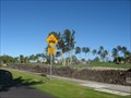 Image for Golf Cart Crossing - Waikoloa, HI
