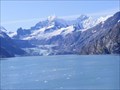 Image for Lamplugh Glacier - Glacier Bay National Park and Preserve - Alaska