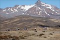 Image for "One run - and 700 reasons" Tussock Traverse, Tongariro National Park, New Zealand.