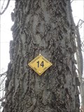 Image for Carantouan Tree Trail - Waverly, NY