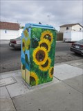 Image for Sunflower Box - San Diego, CA