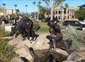 Image for Cooling the Dogs - Fountain Hills, AZ
