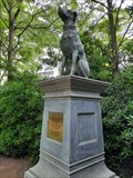 Image for "Jack" the Dog - Oostende, Belgium