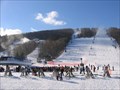 Image for Bristol Mountain Winter Resort, Canandaigua, NY