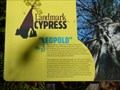 Image for Leopold Tree - Corkscrew Swamp Preserve, Naples, Florida USA