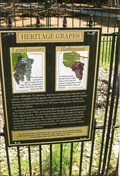 Image for Heritage Grapes - Tallapoosa, GA