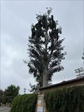 Image for Los Alamitos Race Course Cell Tower - Cypress, CA