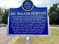 Image for Mississippi Blues Trail - Big Walter Horton - Horn Lake, MS