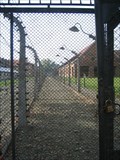 Image for Auschwitz -Birkenau. Poland