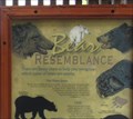 Image for Bear Resemblance, Denali Park, AK