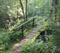 Image for Footbridge in the Forest - Wallbach, AG, Switzerland
