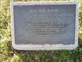 Image for Live Oak Arcade - San Jacinto Monument, Houston, TX