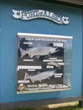 Image for Port of Alsea "Catch (and Release)" Sign - Waldport, Oregon