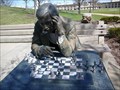 Image for The (Chess) Player - OSU-Newark
