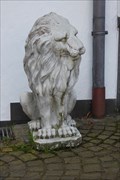 Image for Lion - Ulmen, Germany