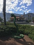 Image for Snake - Cabazon, CA