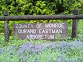 Image for Durand-Eastman Park Arboretum - Rochester, NY