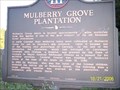 Image for MULBERRY GROVE PLANTATION - GHM 023-39
