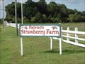 Image for Patriot Farms - McClellanville, SC