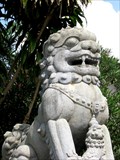 Image for Phuoc Kien Assembly Hall Lion Statue - Hoi An, Vietnam