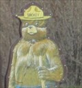 Image for Smokey Bear on Hway 70 - Beckwourth, CA