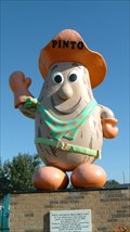 Image for Pinto MacBean Welcomes You! 