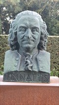 Image for Carl Linnaeus statue - Wageningen, NL